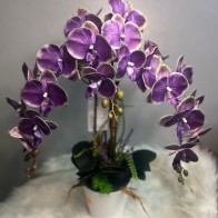 Orkid 3D Latex Printed