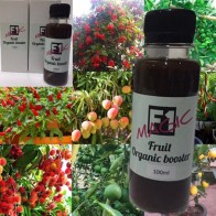 Magic F1 fruit organic booster (100ml)