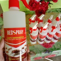 Penyembur anti serangga Besspray