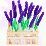 Craft pipe cleaner