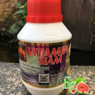 Vitamin Siam Baja Semburan Formulasi Dari Siam