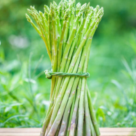 Pokok Sayur Asparagus