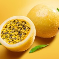 Anak Pokok Markisa/Passion Fruit Kuning