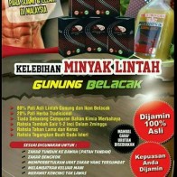 MINYAK LINTAH GUNUNG BELACAK - MLGB dengan 90% pati & Lulus KKM