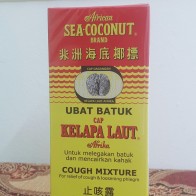 UBAT BATUK KELAPA LAUT