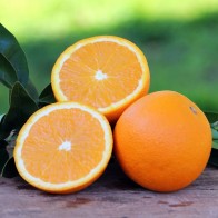 Anak Pokok Navel Orange Kahwin