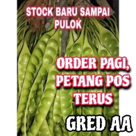 PETAI GRED A PADU SEIKAT