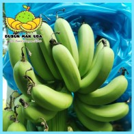 Anak Benih Sulur Pokok Pisang Berangan (Ready stock)