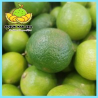 Buah Limau Nipis Segar 1 Biji / Fresh Key Lime