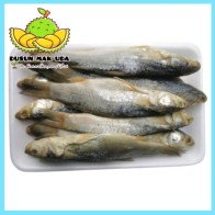 Ikan Belanak Masam / Kedera Masin 200gm & 500gm / Salted Fish