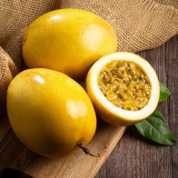 Anak Pokok Markisa Panama Gold Passion Fruit