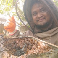 Madu Kelulut Itama Tukugho