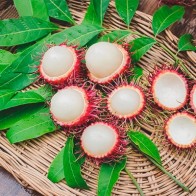 Anak Pokok Rambutan Mutiara Merah AG-44