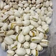 Kacang cerdik