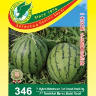 346 F1 Hibrid Tembikai Merah Bulat Kecil 2kg