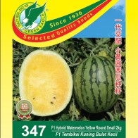 347 F1 Hibrid Tembikai Kuning Bulat Kecil 2kg