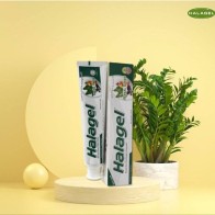 Ubat Gigi Halagel Herbal Green