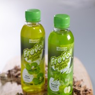 FREVO!! BOTANICAL BELALAI GAJAH