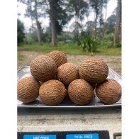 Buah Kulim(1kg) Segar 100% Hutan