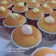 HOKKAIDO CUPCAKES (9 biji)