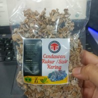 cendawan kukur / sisir  kering organik (kulat sisir)