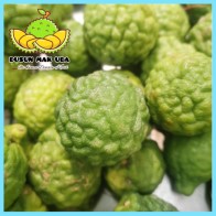 Buah Limau Purut Segar / Kaffir Lime 1 Biji