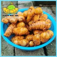 Kunyit Hidup Segar Gemuk dan Bersih / Fresh Turmeric (value pack 500gm & 1000gm)