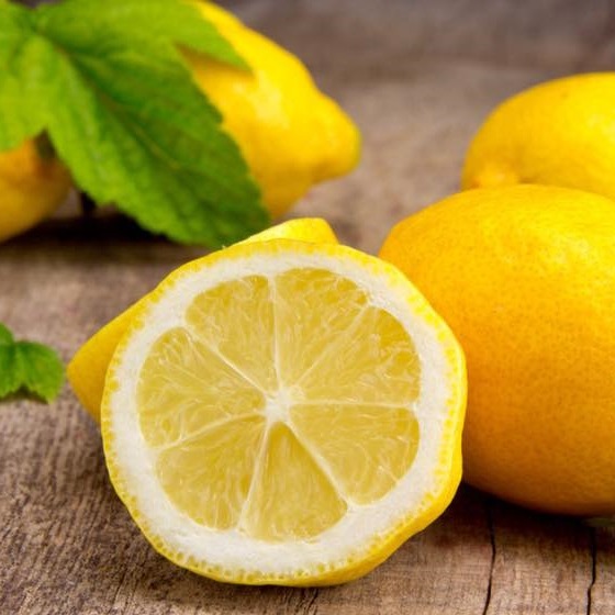 Anak Pokok Lemon Australia - eDesa