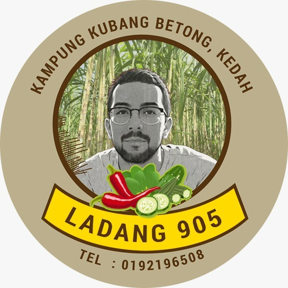 [INFAK] AIR TEBU ASLI LADANG 905 (40 BOTOL) - eDesa