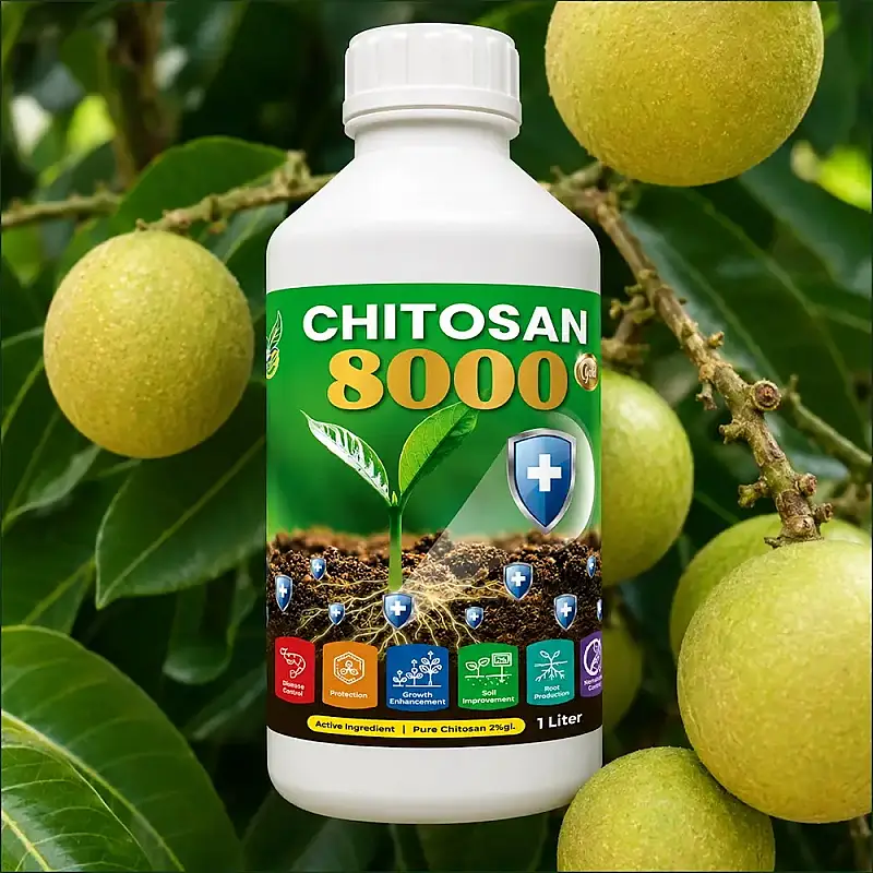 GE Chitosan Gold 8000 1 Liter Pati