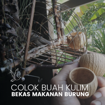 SET HOBI Bekas Makanan Burung (2biji)